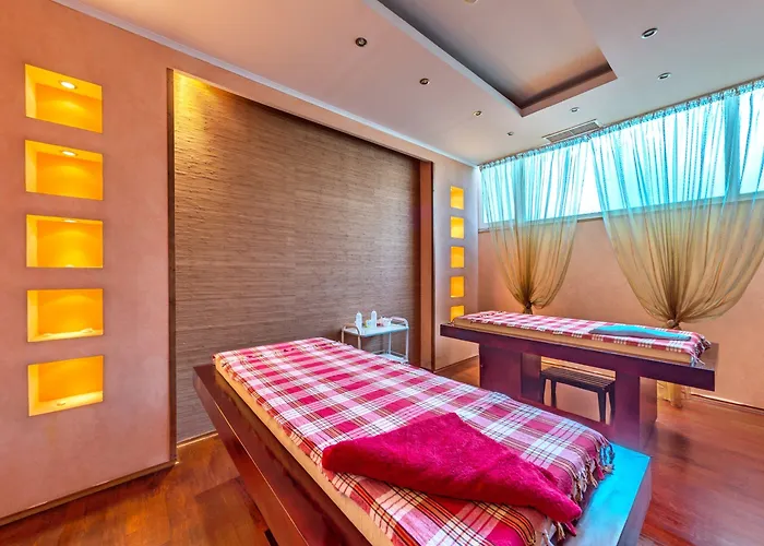 феста панорама Хотел 4*